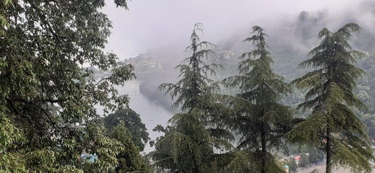 Indulge in luxury with spa access, gourmet dining, and exclusive jungle views. This premium package offers a private balcony and a romantic candlelight dinner experience.