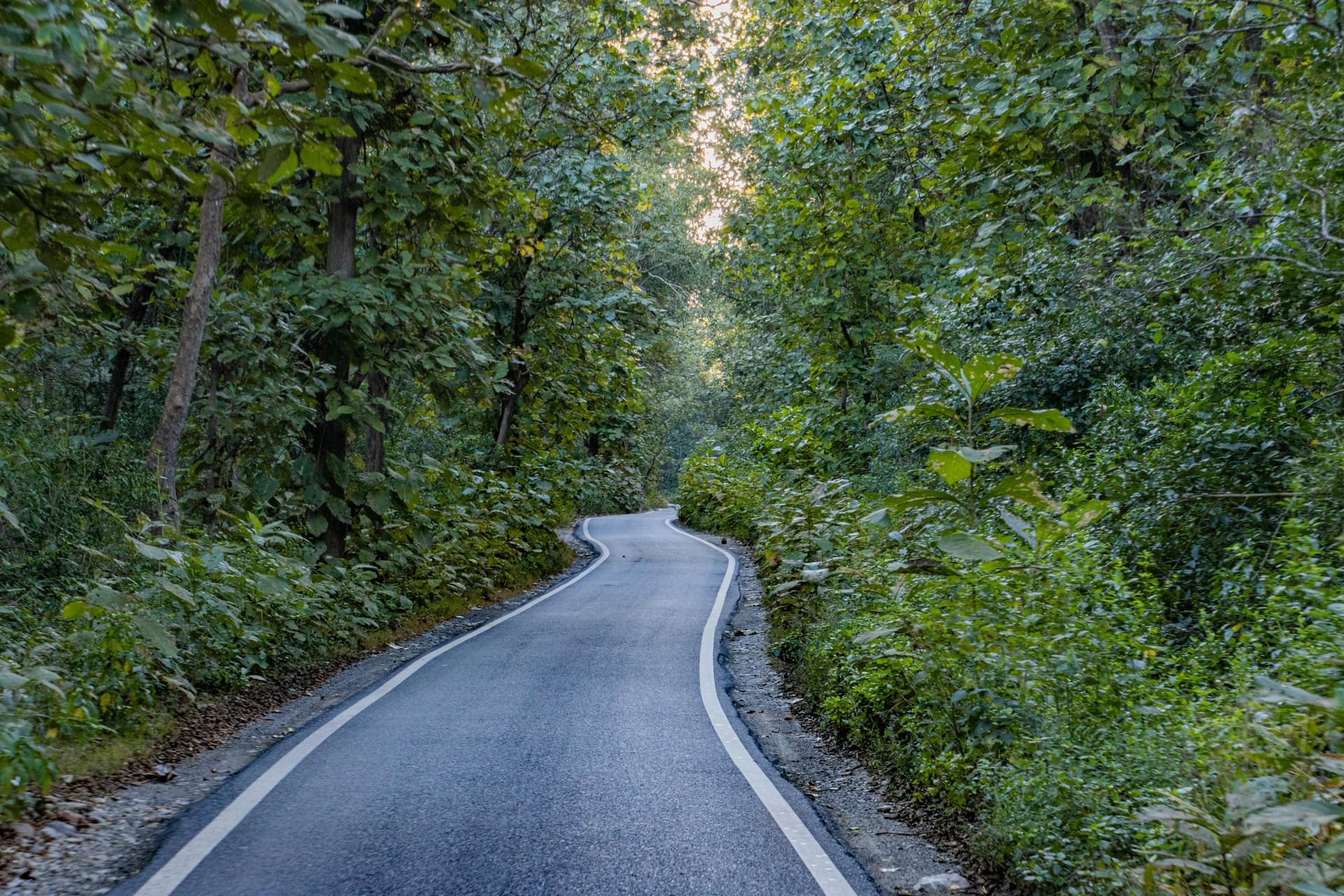 Jim Corbett Safari